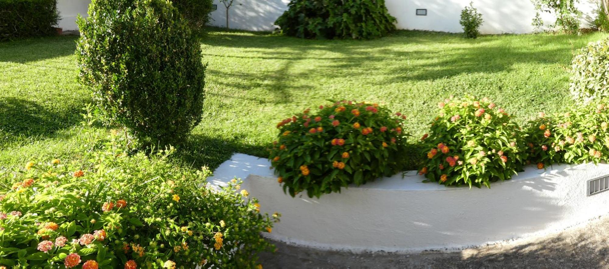 B&B Oliena Exterior photo
